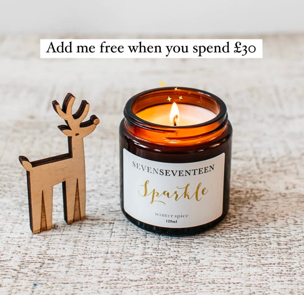 Sparkle / Winter Spice 120ml candle